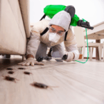 desinsectacion-plagas-coruna