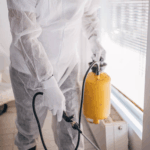 istockphoto-1225966580-612×612